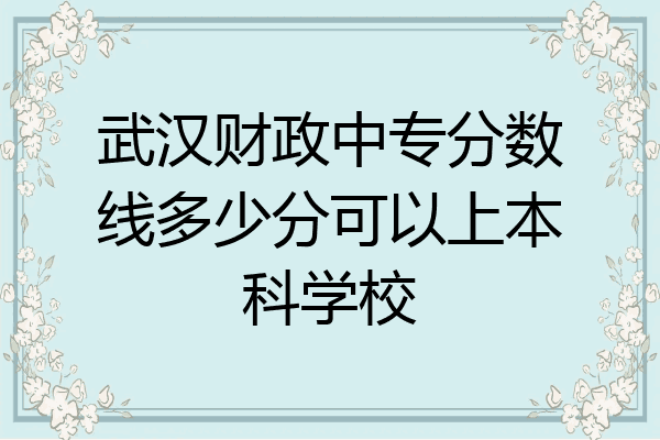 武汉财政中专分数线多少分可以上本科学校