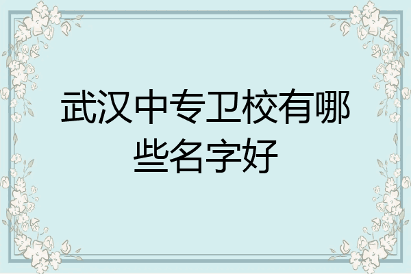 武汉中专卫校有哪些名字好