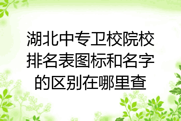 湖北中专卫校院校排名表图标和名字的区别在哪里查