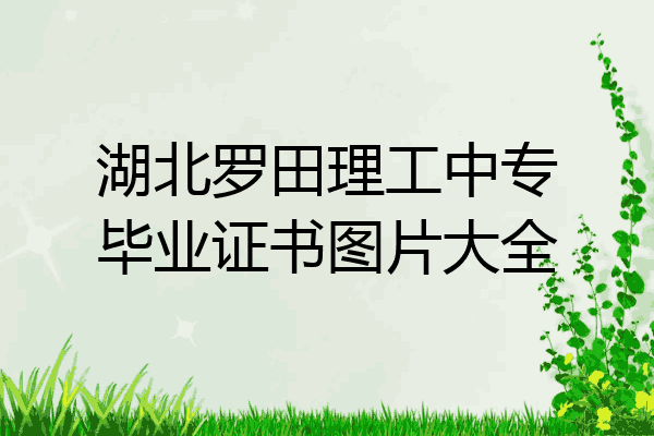 湖北罗田理工中专毕业证书图片大全