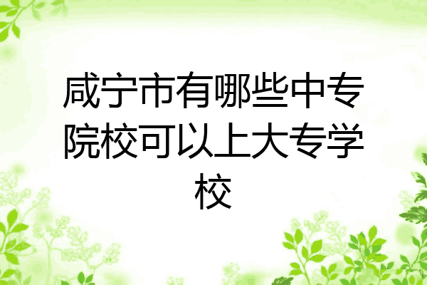 咸宁市有哪些中专院校可以上大专学校