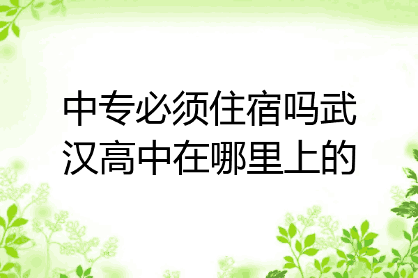 中专必须住宿吗武汉高中在哪里上的