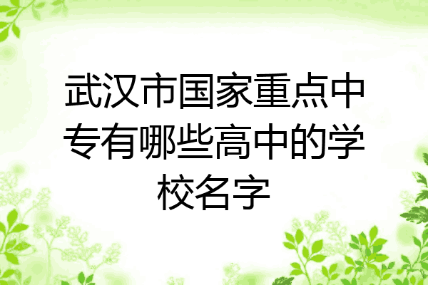 武汉市国家重点中专有哪些高中的学校名字