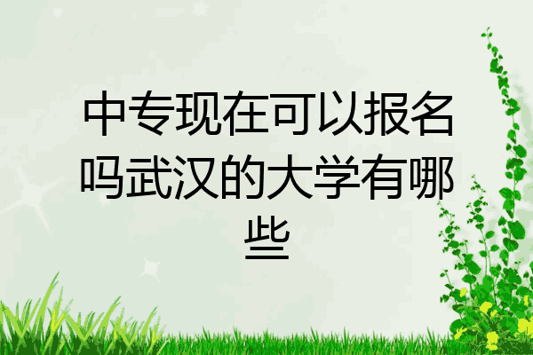 中专现在可以报名吗武汉的大学有哪些