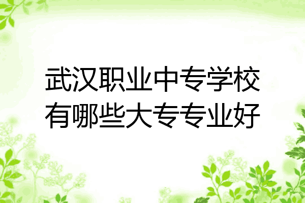 武汉职业中专学校有哪些大专专业好