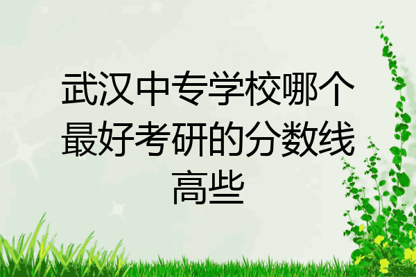 武汉中专学校哪个最好考研的分数线高些