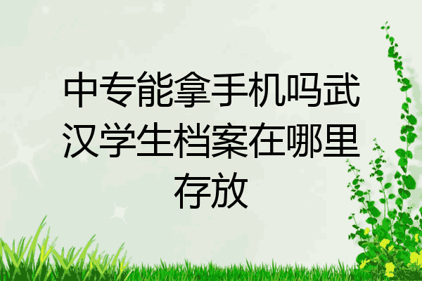 中专能拿手机吗武汉学生档案在哪里存放