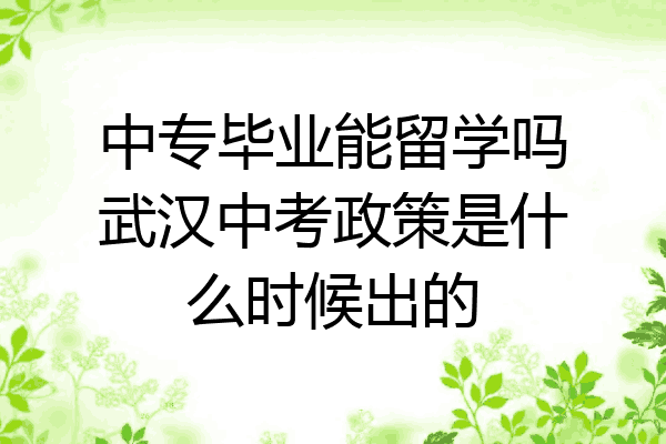 中专毕业能留学吗武汉中考政策是什么时候出的