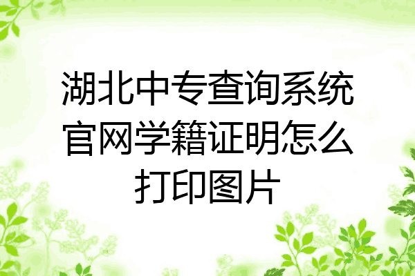 湖北中专查询系统官网学籍证明怎么打印图片