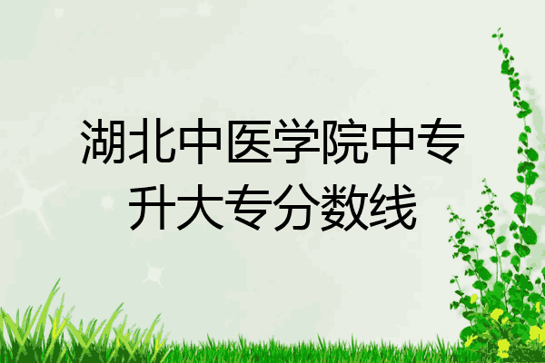 湖北中医学院中专升大专分数线