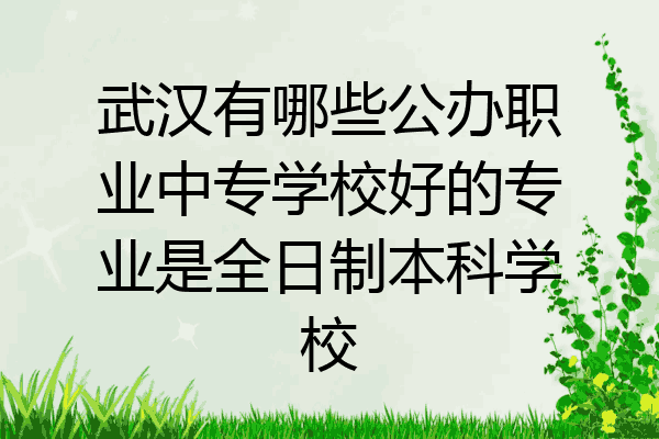 武汉有哪些公办职业中专学校好的专业是全日制本科学校