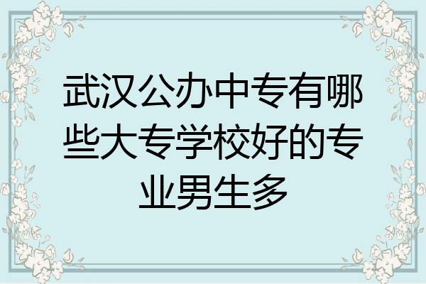 武汉公办中专有哪些大专学校好的专业男生多