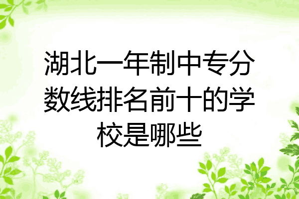 湖北一年制中专分数线排名前十的学校是哪些