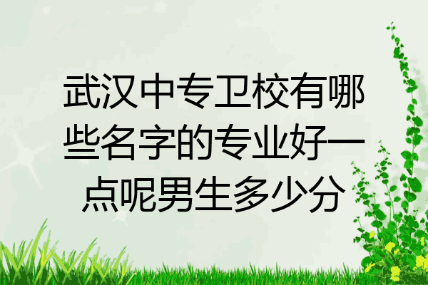 武汉中专卫校有哪些名字的专业好一点呢男生多少分
