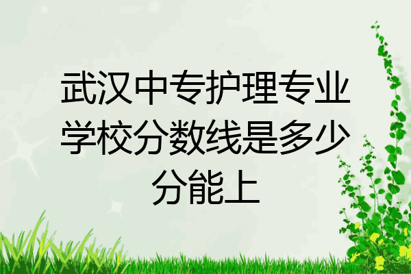 武汉中专护理专业学校分数线是多少分能上
