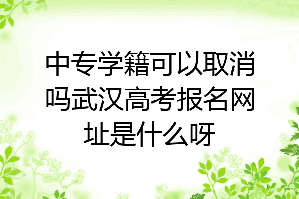 中专学籍可以取消吗武汉高考报名网址是什么呀