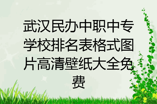 武汉民办中职中专学校排名表格式图片高清壁纸大全免费