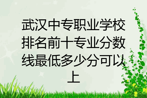 武汉中专职业学校排名前十专业分数线最低多少分可以上