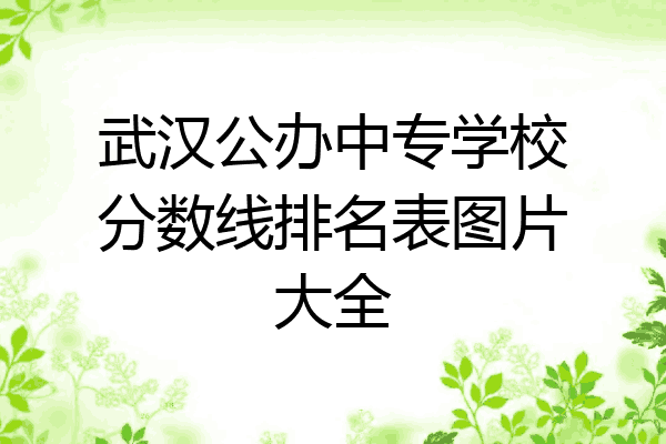 武汉公办中专学校分数线排名表图片大全