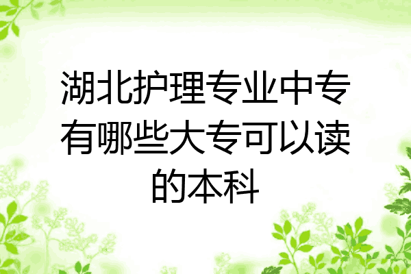 湖北护理专业中专有哪些大专可以读的本科