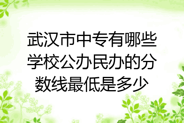 武汉市中专有哪些学校公办民办的分数线最低是多少