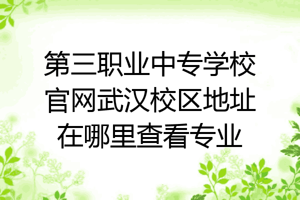 第三职业中专学校官网武汉校区地址在哪里查看专业