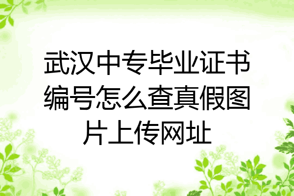 武汉中专毕业证书编号怎么查真假图片上传网址