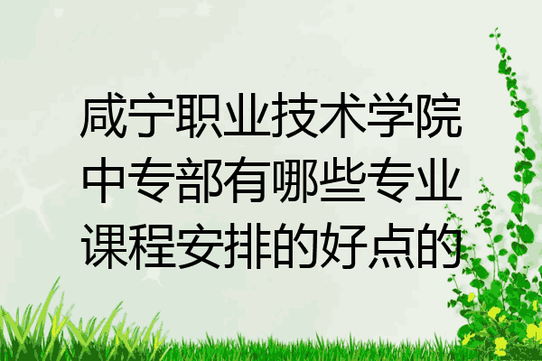 咸宁职业技术学院中专部有哪些专业课程安排的好点的