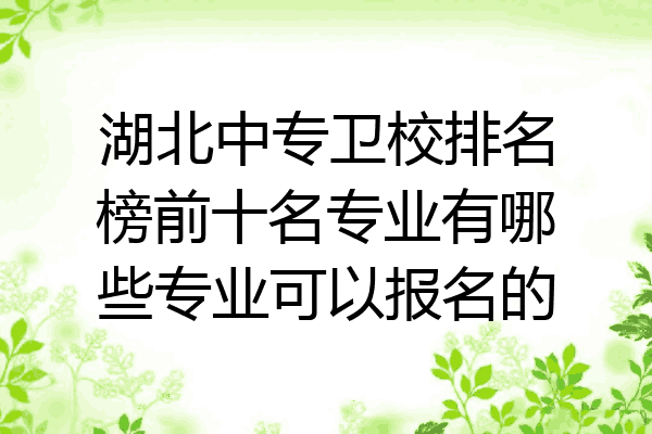 湖北中专卫校排名榜前十名专业有哪些专业可以报名的