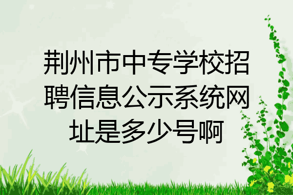 荆州市中专学校招聘信息公示系统网址是多少号啊