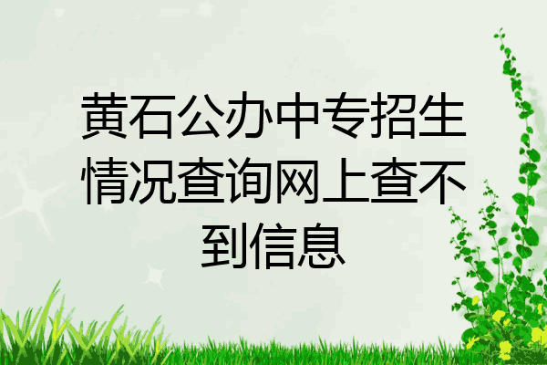 黄石公办中专招生情况查询网上查不到信息