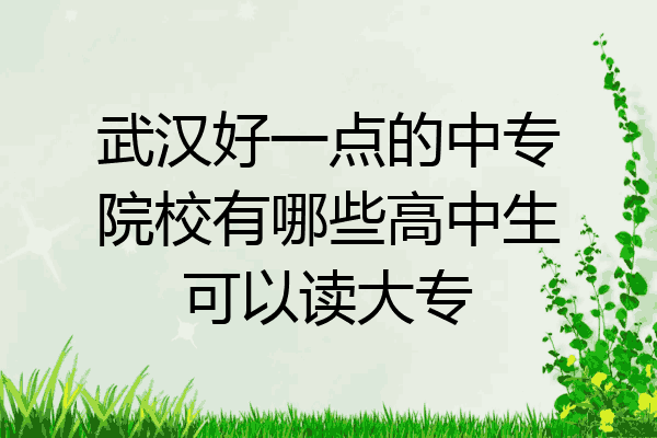 武汉好一点的中专院校有哪些高中生可以读大专