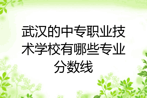 武汉的中专职业技术学校有哪些专业分数线