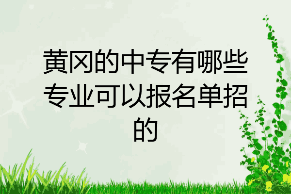 黄冈的中专有哪些专业可以报名单招的