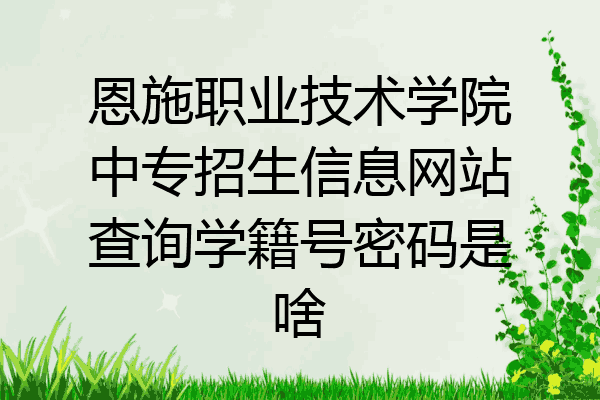 恩施职业技术学院中专招生信息网站查询学籍号密码是啥