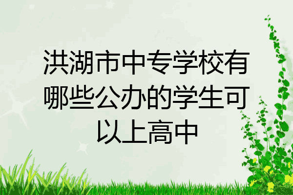 洪湖市中专学校有哪些公办的学生可以上高中