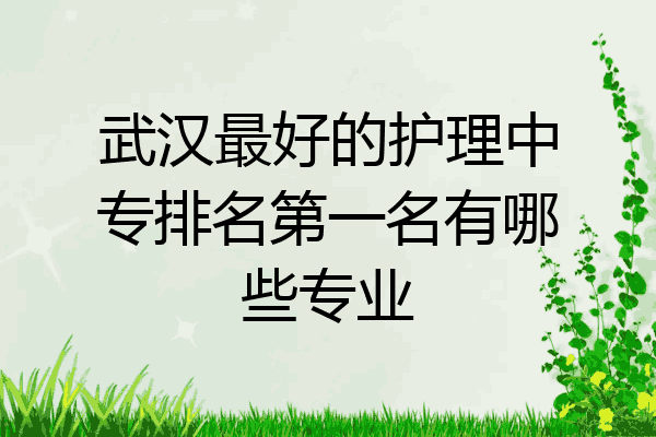 武汉最好的护理中专排名第一名有哪些专业