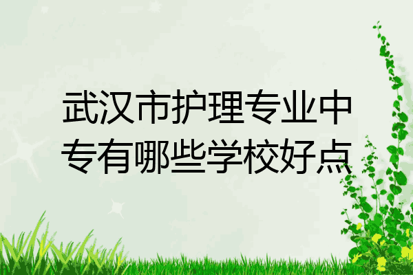 武汉市护理专业中专有哪些学校好点