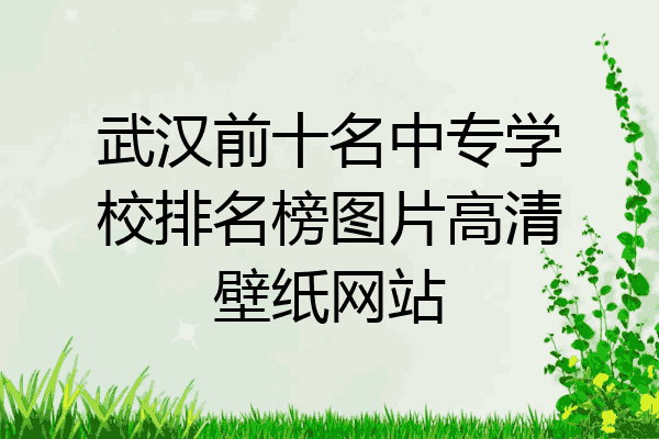 武汉前十名中专学校排名榜图片高清壁纸网站