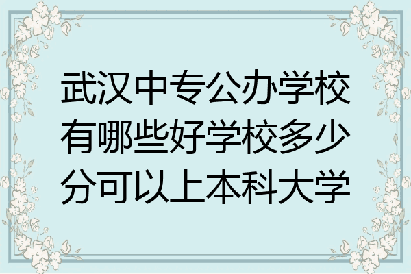 武汉中专公办学校有哪些好学校多少分可以上本科大学