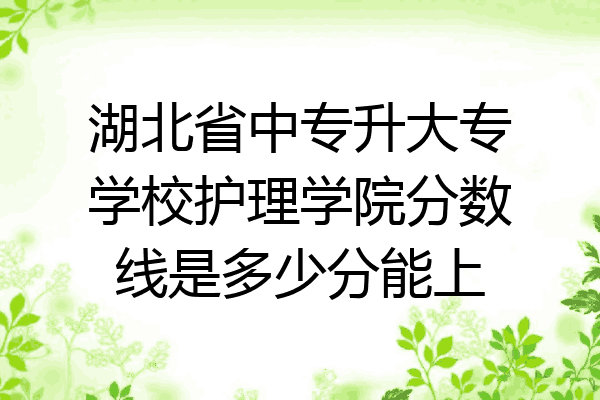 湖北省中专升大专学校护理学院分数线是多少分能上