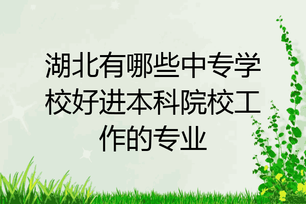 湖北有哪些中专学校好进本科院校工作的专业