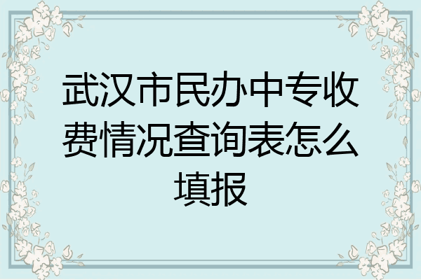 武汉市民办中专收费情况查询表怎么填报