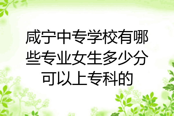 咸宁中专学校有哪些专业女生多少分可以上专科的