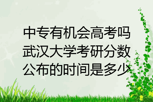 中专有机会高考吗武汉大学考研分数公布的时间是多少