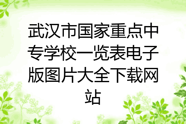 武汉市国家重点中专学校一览表电子版图片大全下载网站