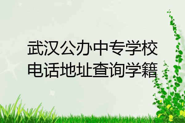 武汉公办中专学校电话地址查询学籍