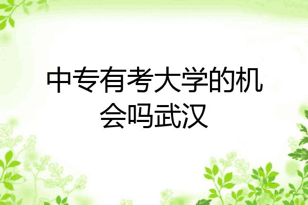 中专有考大学的机会吗武汉