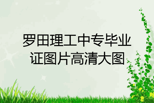 罗田理工中专毕业证图片高清大图