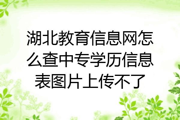 湖北教育信息网怎么查中专学历信息表图片上传不了